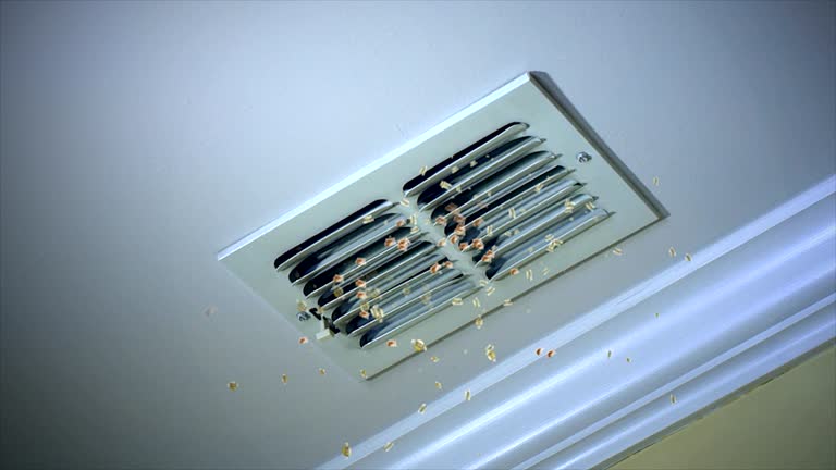 Best HVAC Duct Inspection Services  in Fkville, AL